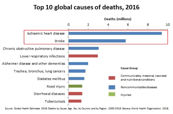 About stroke and heart diseases