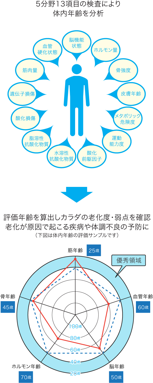 アンチエイジングドック 株式会社プリメディカ