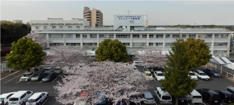 健康・医学 HIYO 鍼灸病証学 | 本間 祥白 |本 | 通販 | Amazon