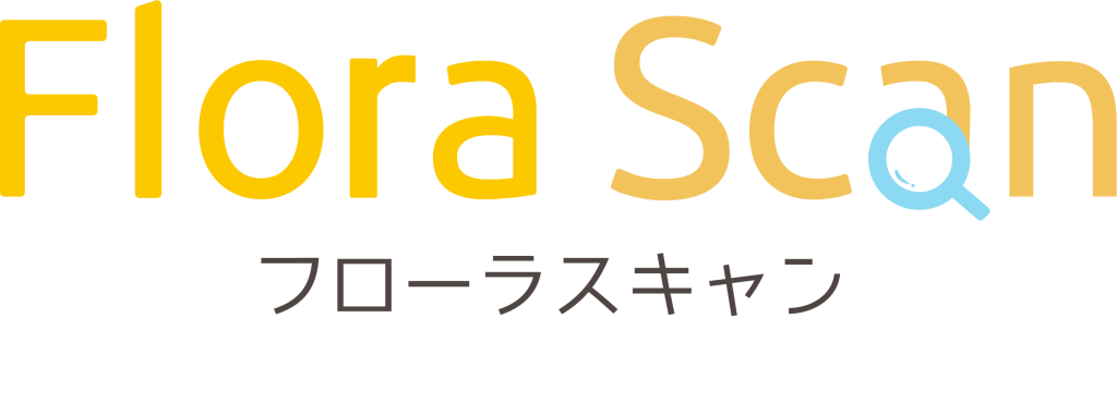 爆買い！ ふるさと納税 枚方市 腸内フローラ検査サービス Flora Scan